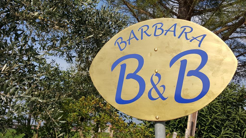 B&B Barbara Assisi Cannara Ngoại thất bức ảnh